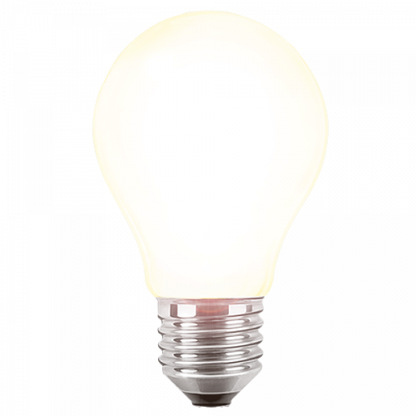 LED Filament Lampe Birnenform 8 Watt warmweiß E27